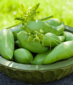 Achocha - Vegetables that Start with A