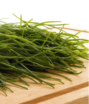 Agretti - Vegetables that Start with A
