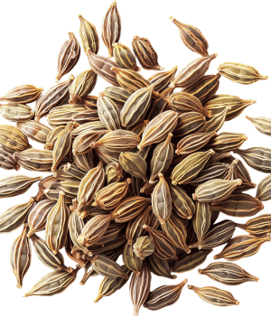 Ajwain - Spices That Start With A