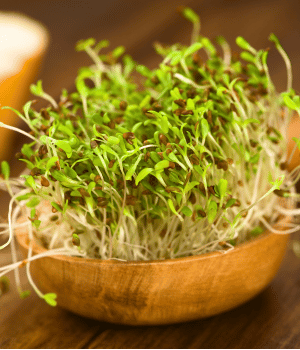Alfalfa Sprouts - Vegetables that Start with A