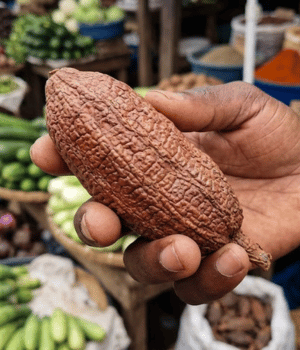 Alligator Pepper - Vegetables that Start with A