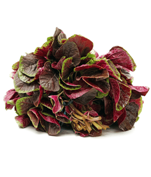 Amaranth - Vegetables that Start with A