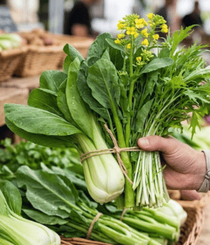 Asian Greens