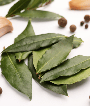 Bay Leaf - Spices That Start With B