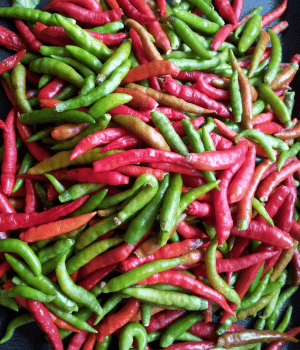 Bird’s Eye Chili - Spices That Start With B