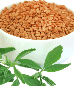 Blue Fenugreek - Spice Names That Begins With B