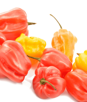 Bonnet Pepper - Spice Names That Begins With B