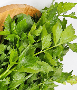 Celery Leaf - Herbs beginning with C