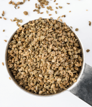 Celery Seed - Spices That Start With C