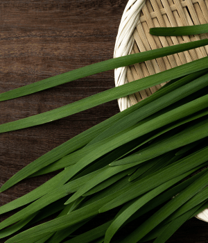 Chinese Chive - Herbs Names That Start with C