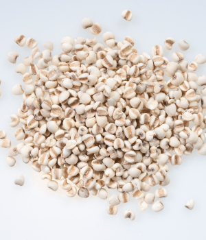 Coix - Grains that Start with C