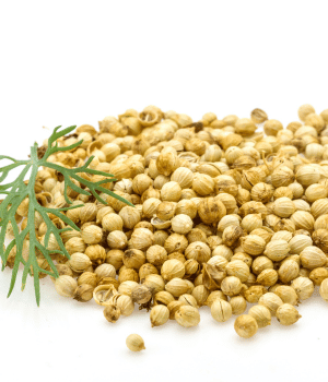 Coriander - Spice Names Begins With C