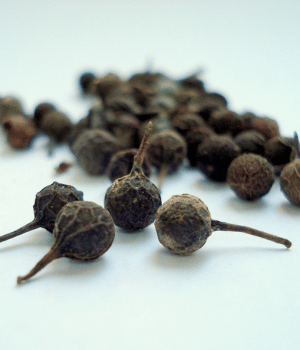 Cubeb - Spice Names Begins With C