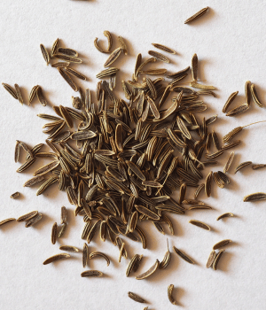 Cumin - Spice Names Begins With C