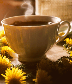 Dandelion Coffee - Drinks that start with D