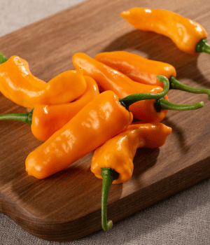 Datil Pepper - Spices That start with D