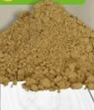 Djahe spices