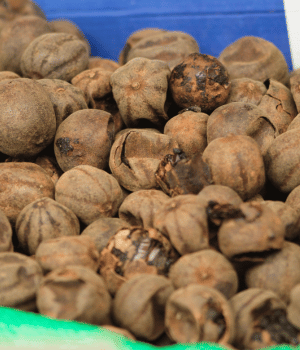 Dried Persian Lime