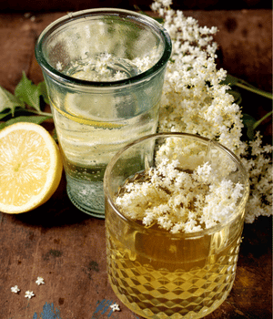 Elderflower Cordial - Drink that Start with E