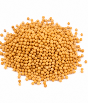 English Mustard Seed - Spices that start with E