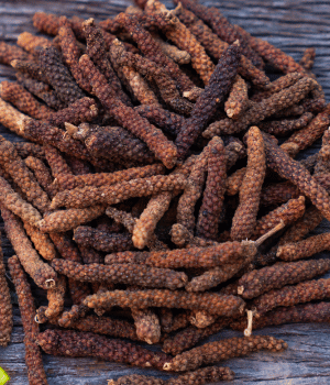Ethiopian Long Pepper - Spice Names that begin with E