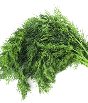 Fennel - Spices that start with F