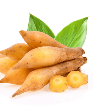 Fingerroot - Spice Names that begin with F