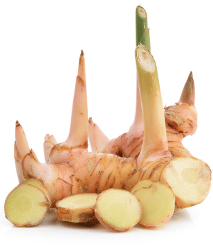 Galangal - Spice Names that begin with G