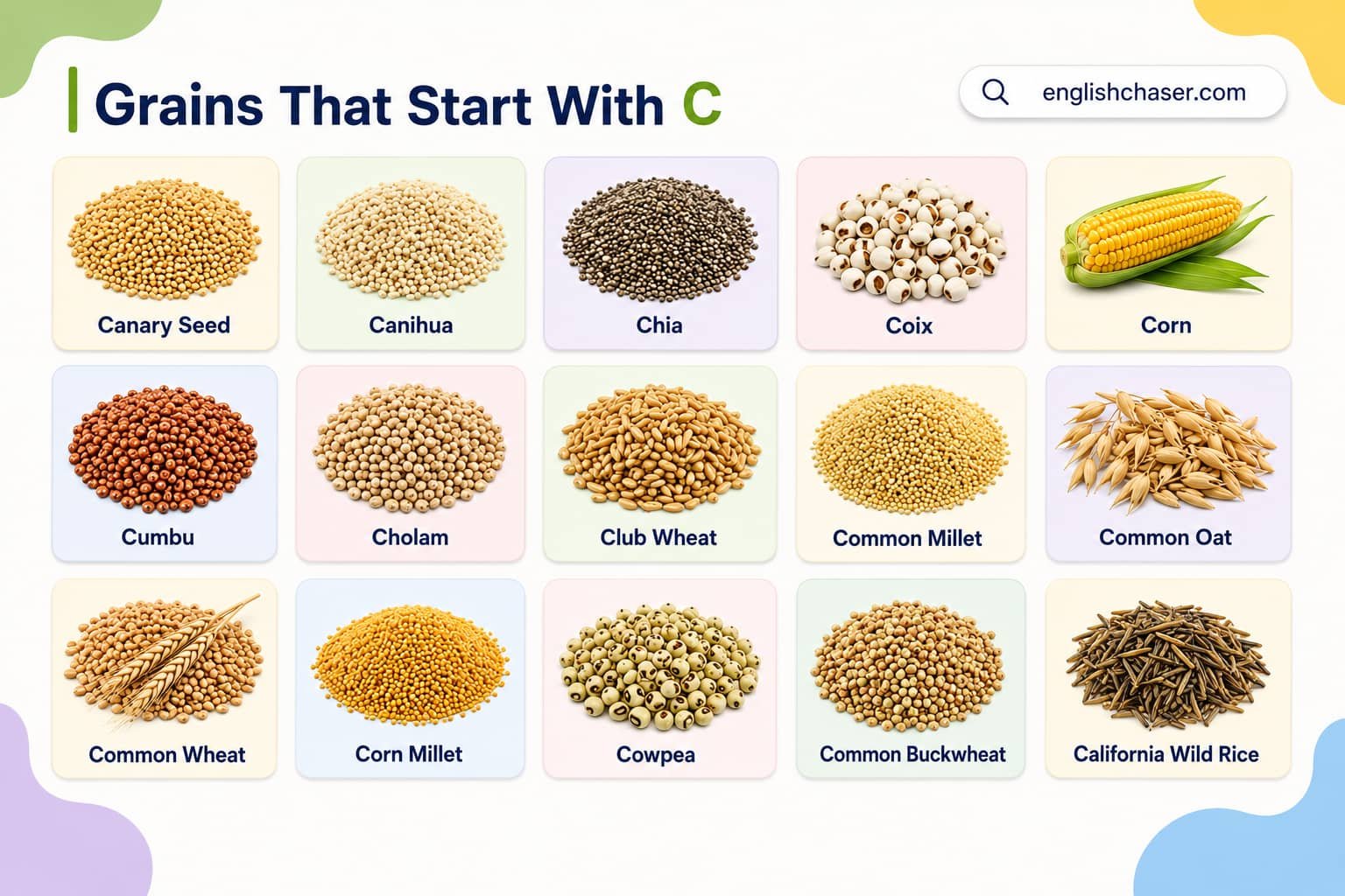 Grains That Start With C With Pictures