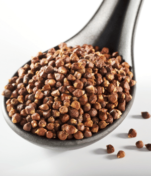 Grains of Paradise - Spice Names that begin with G