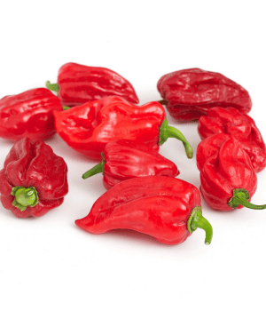 Habanero Pepper - Spice Names that begin with H