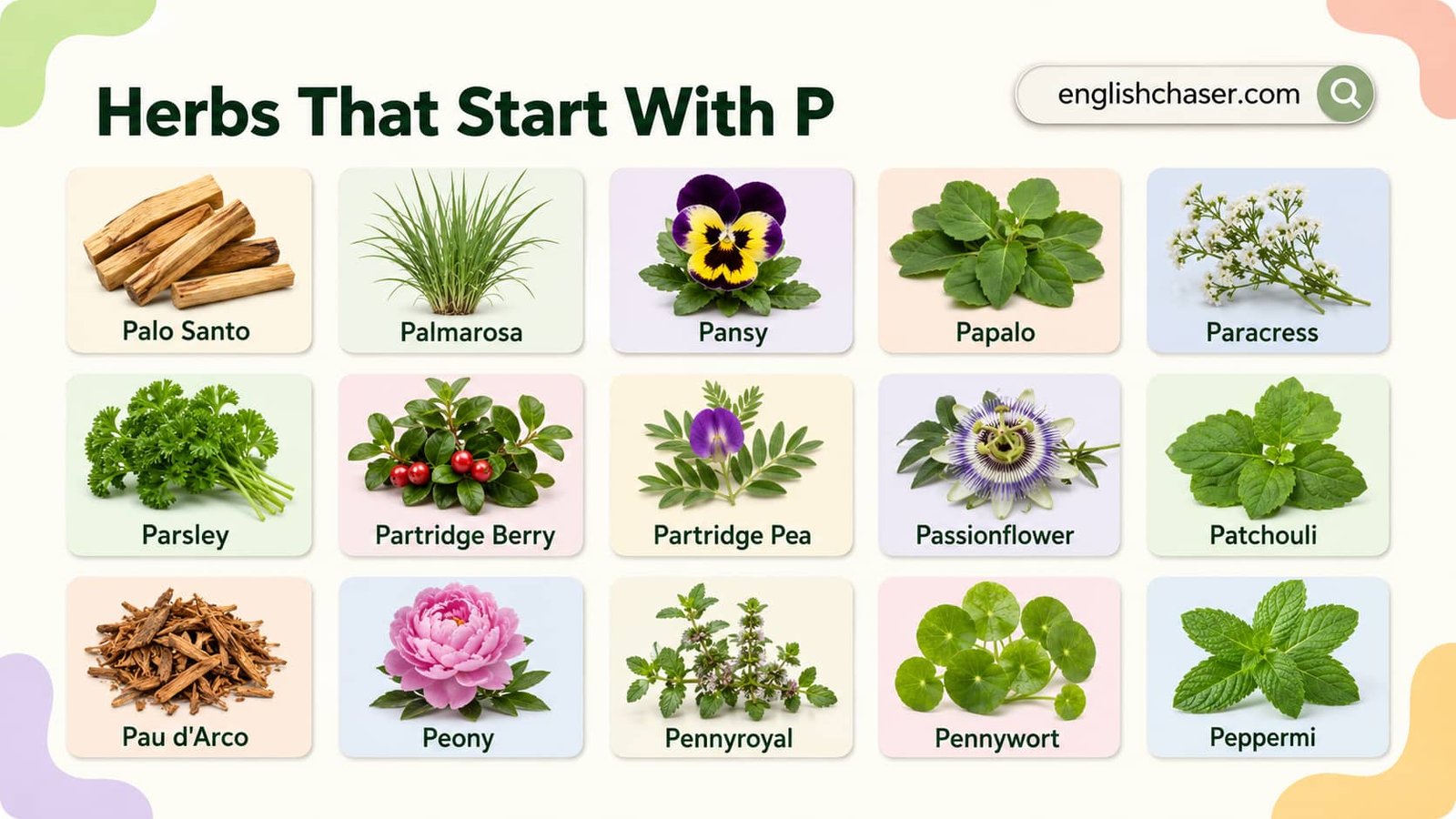 Herbs That Start With P With Names, Pictures & Uses