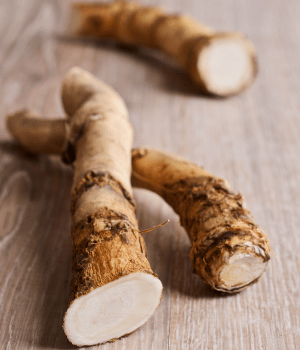 Horseradish - Spices that start with H