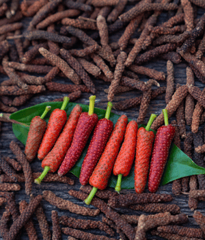 Indian Long Pepper - Spices that Start with I