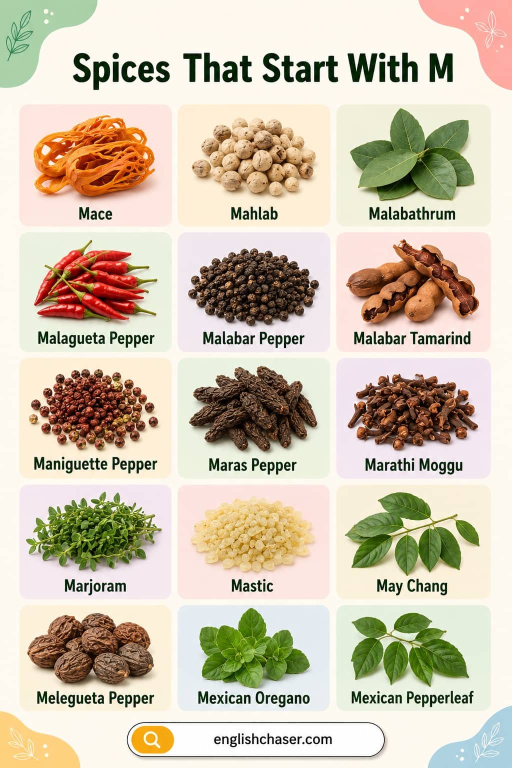 Spices Starting with M With Pictures