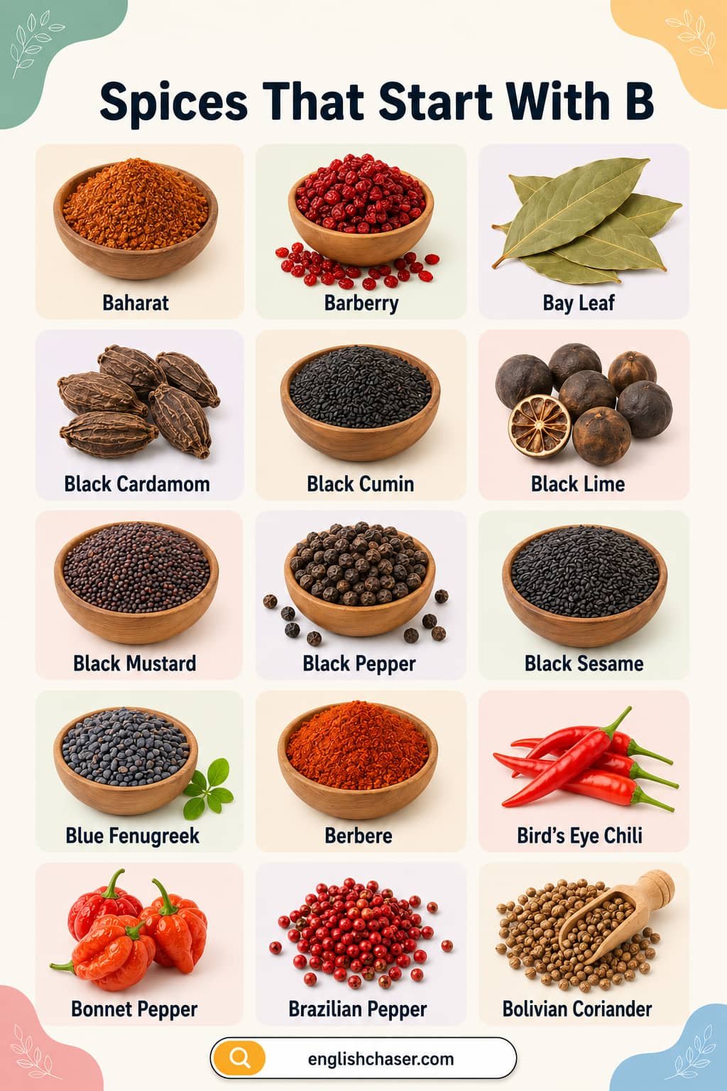 List Of Spices That Starting With B with Pictures