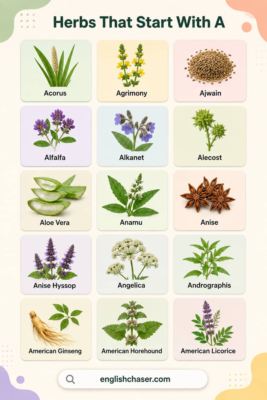List of Herbs That Start With A