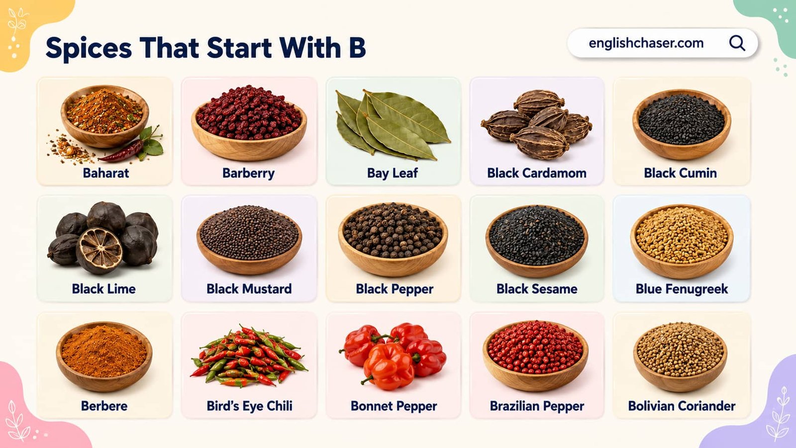 Spices Starting with B: 20+ Spices That Start With B With Pictures