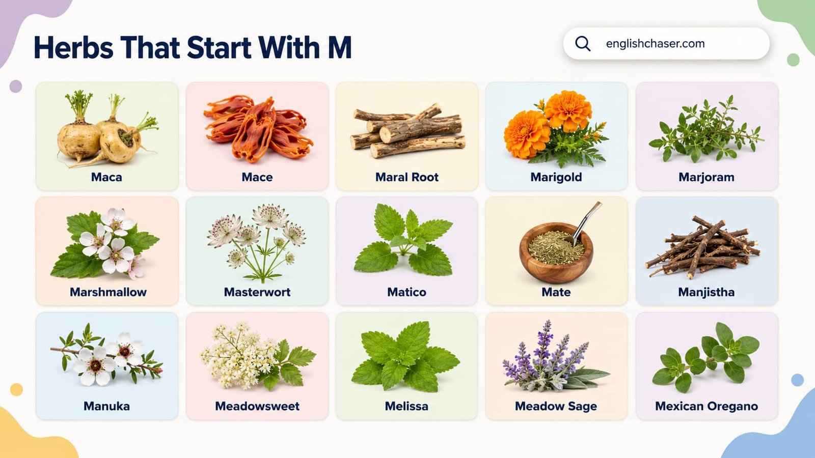 M Herbs With Pictures & Explanation