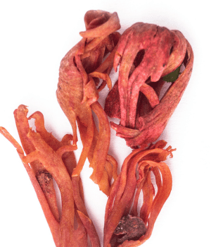 Mace - Herbs That Start With M