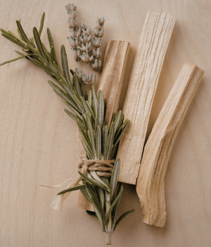 Palo Santo - Herbs That Start with P