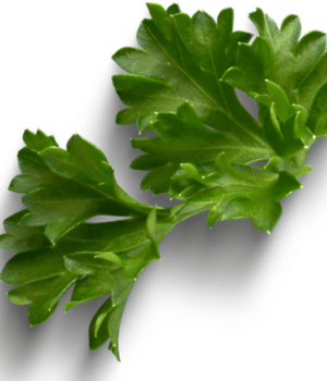 Parsley