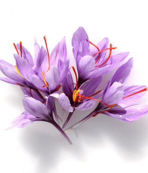 Saffron - Herbs That Start With S
