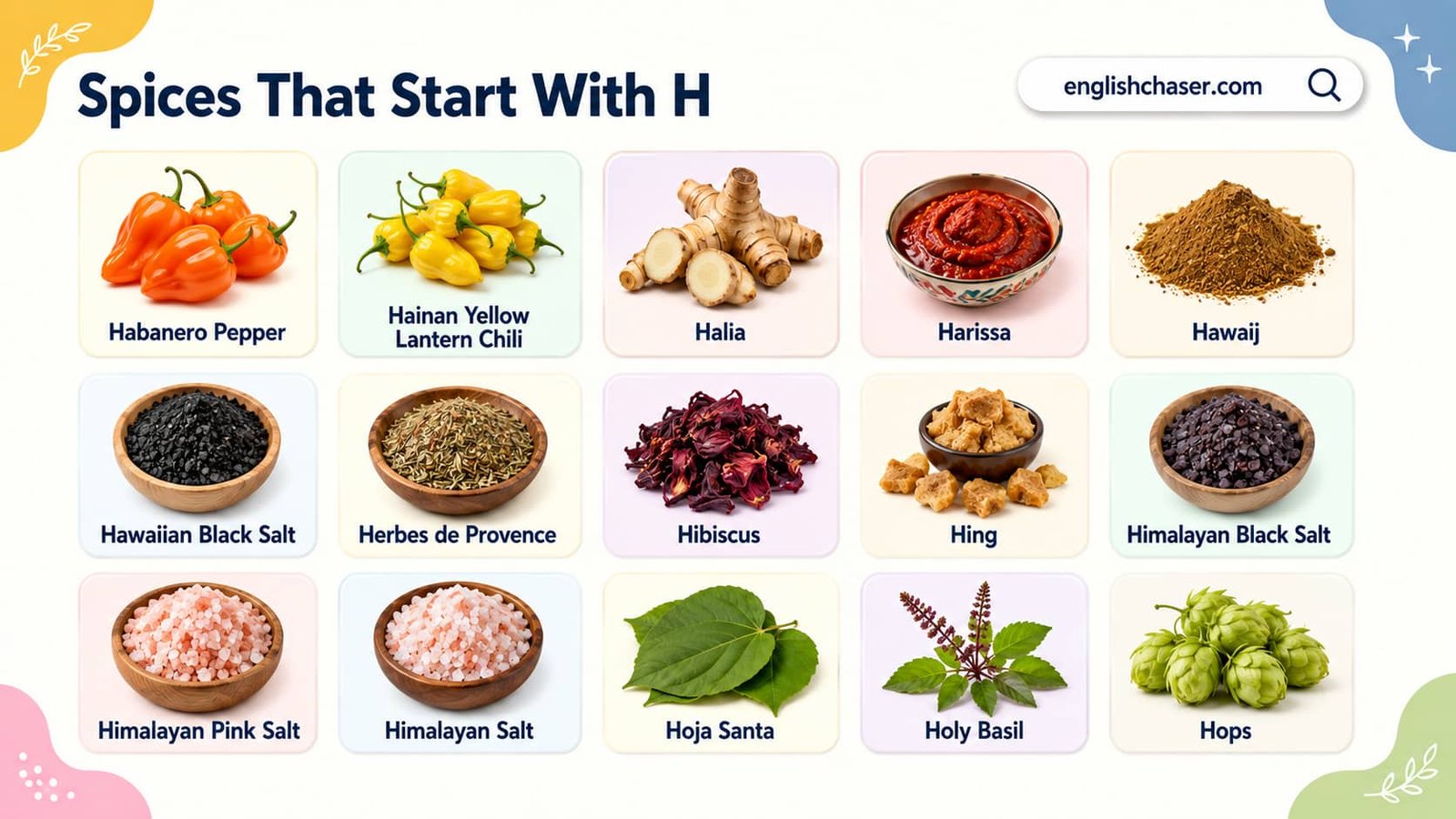 Spices Starting With H With Pictures and Description