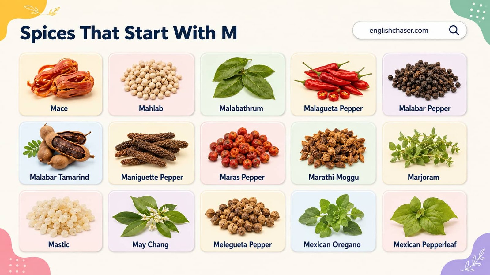 43 Spices That Start With M: List of M Spices With Pictures