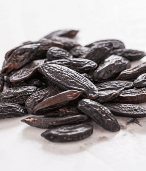 Tonka Bean - Spice Names that begin with T