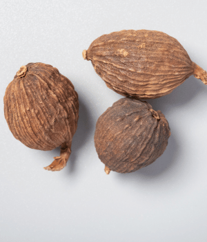Tsaoko - Spice Names that begin with T