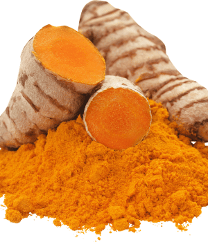 Turmeric - Spice Names that begin with T