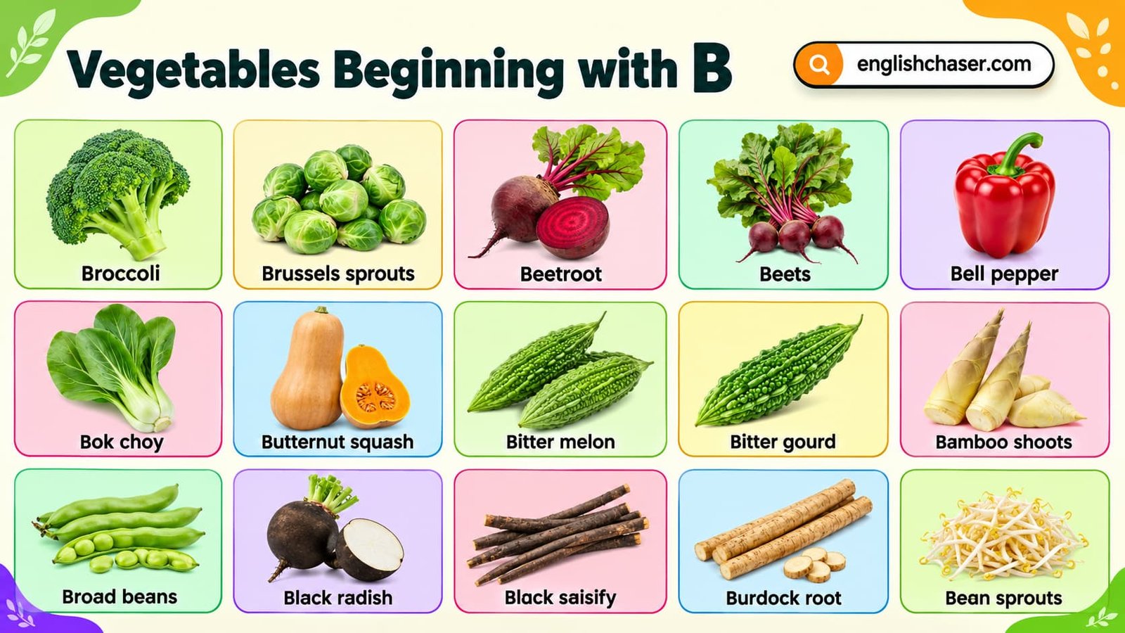 Vegetables That Start With B: 70+ Names, List and Pictures
