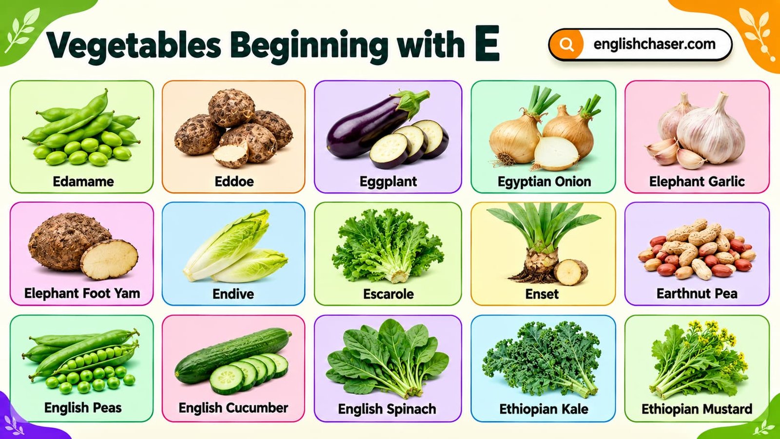 Vegetables Beginning With E: 40+ Vegetables that Start with E